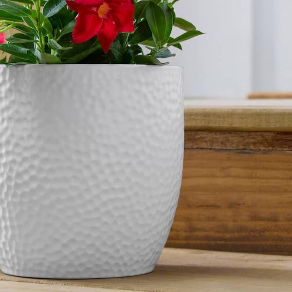 Vigoro Ellory Medium Matte White Ceramic Planter (8.3 in. L x 8.3