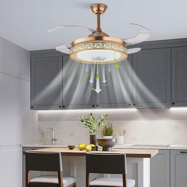 42 in. Indoor Gold Modern 6-Speed Retractable Ceiling Fan with Adjustable White Integrated LED and Remote Control