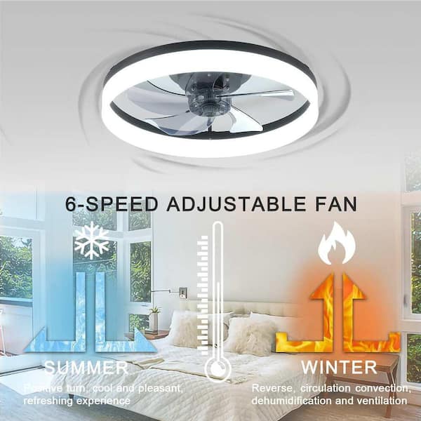 20 in. LED Indoor Black Smart Ceiling Fan with Light and Remote