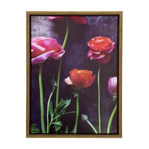 Ranunculus II' 19 in. W x 25 in. H Framed Photo by Veronica Olson Printed on Canvas