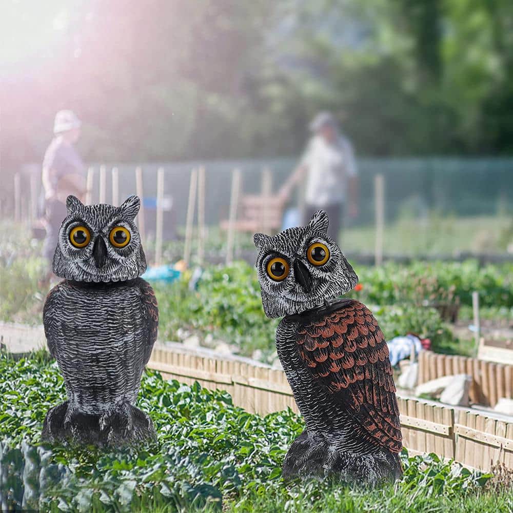 10.6 Inch Black and Brown Plastic Freestanding Owl Decoy Set