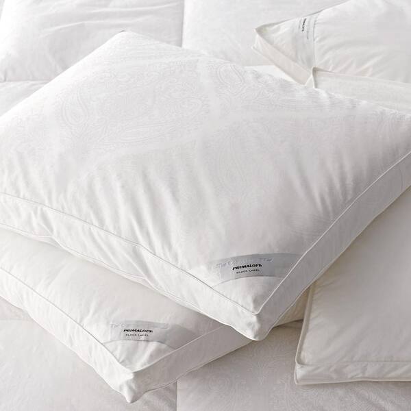 Reviews For The Company Store Black Label Primaloft Firm Down Alternative Queen Pillow Po83 Q White The Home Depot
