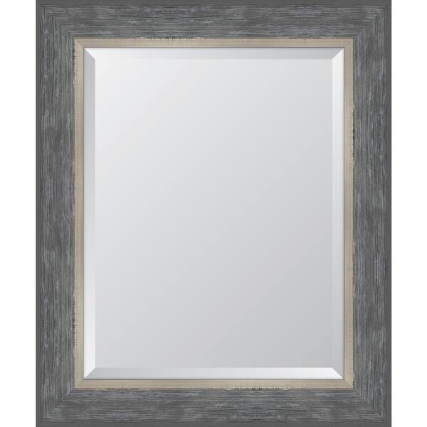 Melissa Van Hise 30 in. x 36 in. Framed Pewter Catalina Mirror