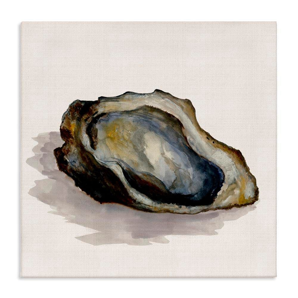 Oyster Shell on Beige by Jacob Q Unframed Coastal Graphic Art Print 30 in. x 30 in. price history on PriceWatchPro