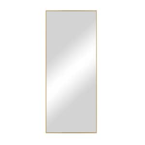 Large Rectangle Gold Hooks Contemporary Mirror (55 in. H x 16 in. W)