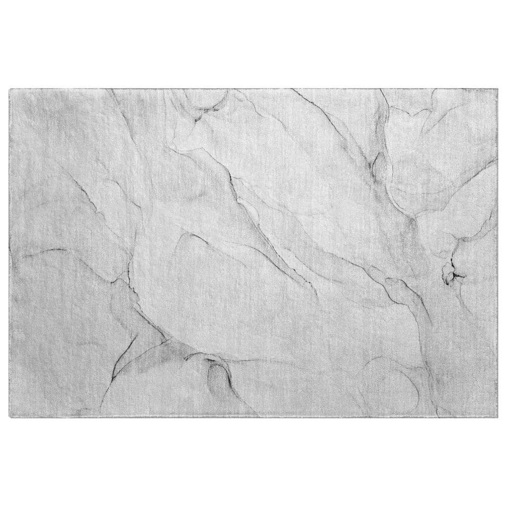 Dream Shag Premium Machine Washable Abstract ADS515 Gray 3 ft. x 4 ft. Area Rug price history on PriceWatchPro