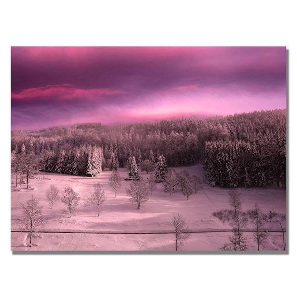Trademark Fine Art 22 in. x 32 in. Rose Time Canvas Art-DISCONTINUED