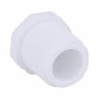 1/2 in. PVC Schedule 40 Plug