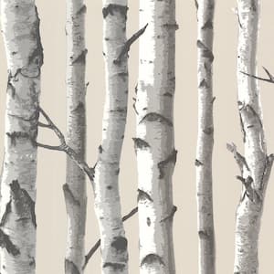 Tuxbury Beige Birch Tree Paper Strippable Wallpaper (Covers 56.4 sq. ft.)