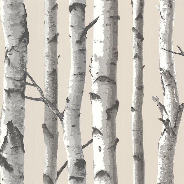 Chesapeake Tuxbury Beige Birch Tree Beige Wallpaper Sample