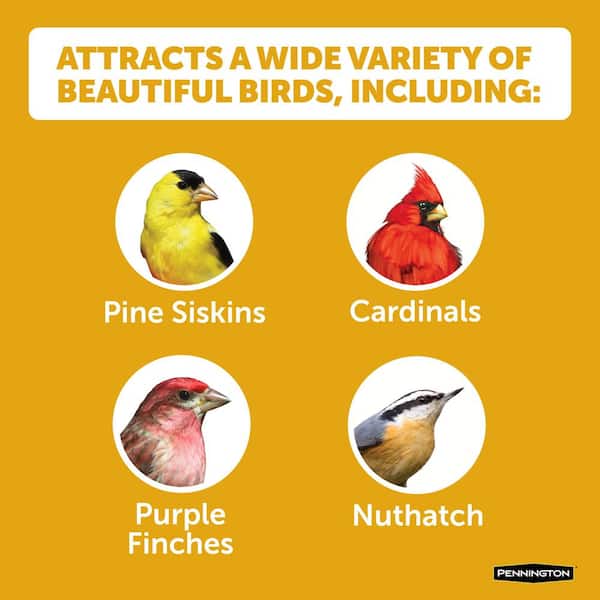 Premium 5.5 lb. Sunflower Chips for Wild Birds
