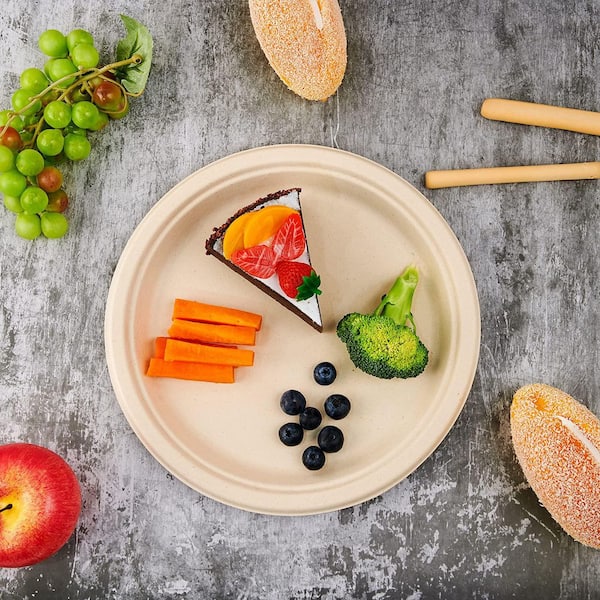 150-Piece 10.25 in. Brown Super Strong Eco-Friendly Bagasse Natural Biodegradable Compostable Disposable Paper Plates