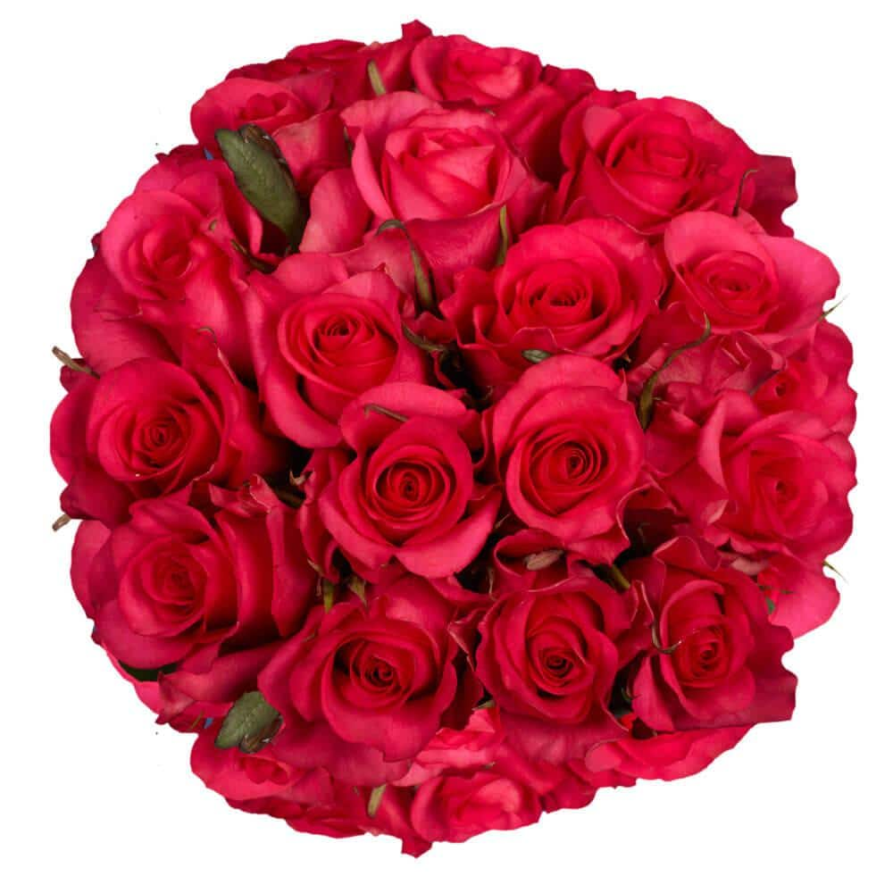 GlobalRose Fresh Pink Roses Bulk (100 Stems)