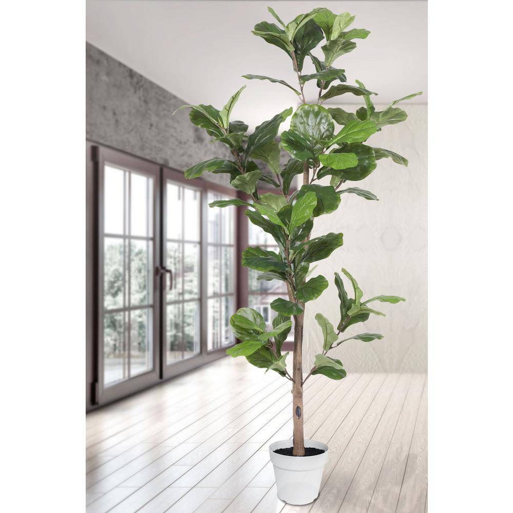 67" Green Silk Ficus Tree in White Plastic Pot