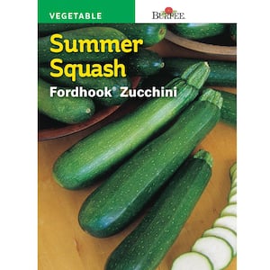Squash Summer Fordhook Zucchini Seed