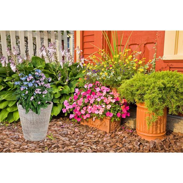 william morris plant pot William Morris Ceramic Plant Pot – The Mark Twain Store main image 0