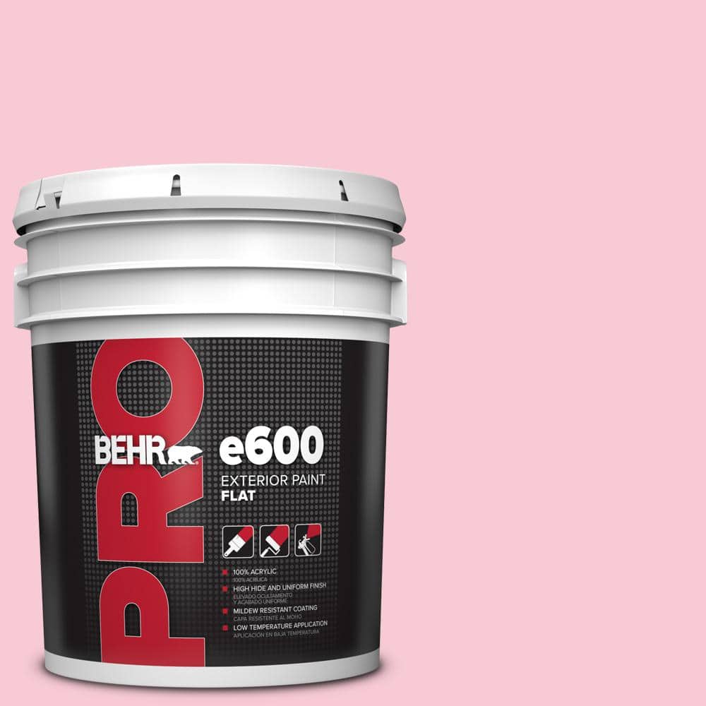 BEHR PRO 5 gal. 110A3 Palace Rose Flat Exterior Paint BEHR PRO 5 gal. 110A3 Palace Rose Flat Exterior Paint