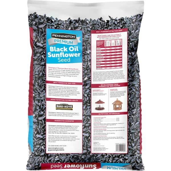 10 lb bag of sunflower seeds