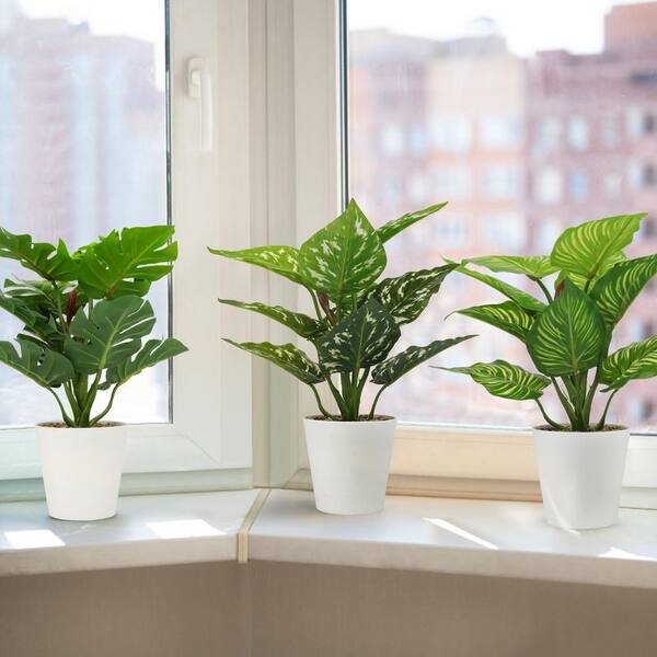 Afoxsos 3.74 in. 3-Pieces Artificial Green Color Family Indoor