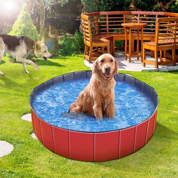 Liver_pool/ SILAS ロゴマット&クッション Misopily 63 in. x 63 in. Foldable Round PVC Kiddie, Baby Dog