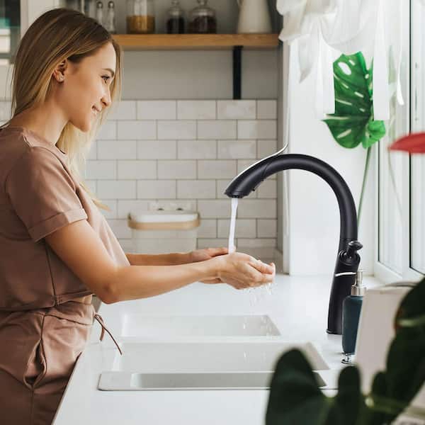 16.1 in. Single Handle Pull Down Sprayer Kitchen Faucet with Gooseneck and 360° Swivel Spout in Matte Black