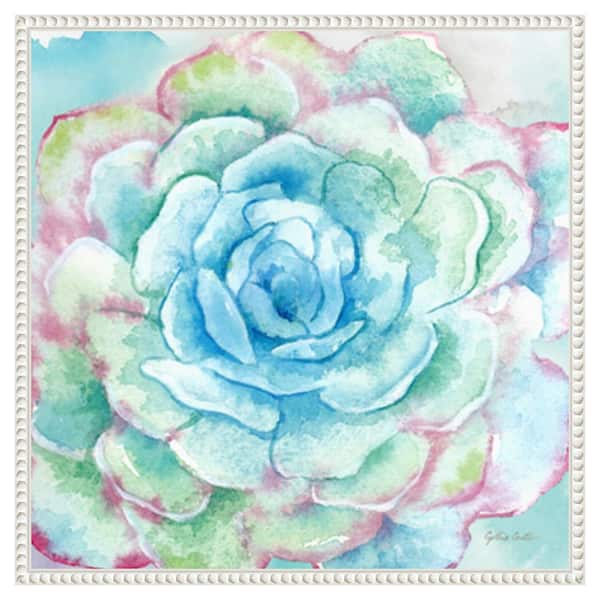 Amanti Art Sweet Succulents I by Cynthia Coulter 22 in. W x 22 in. H Canvas Float Frame in White