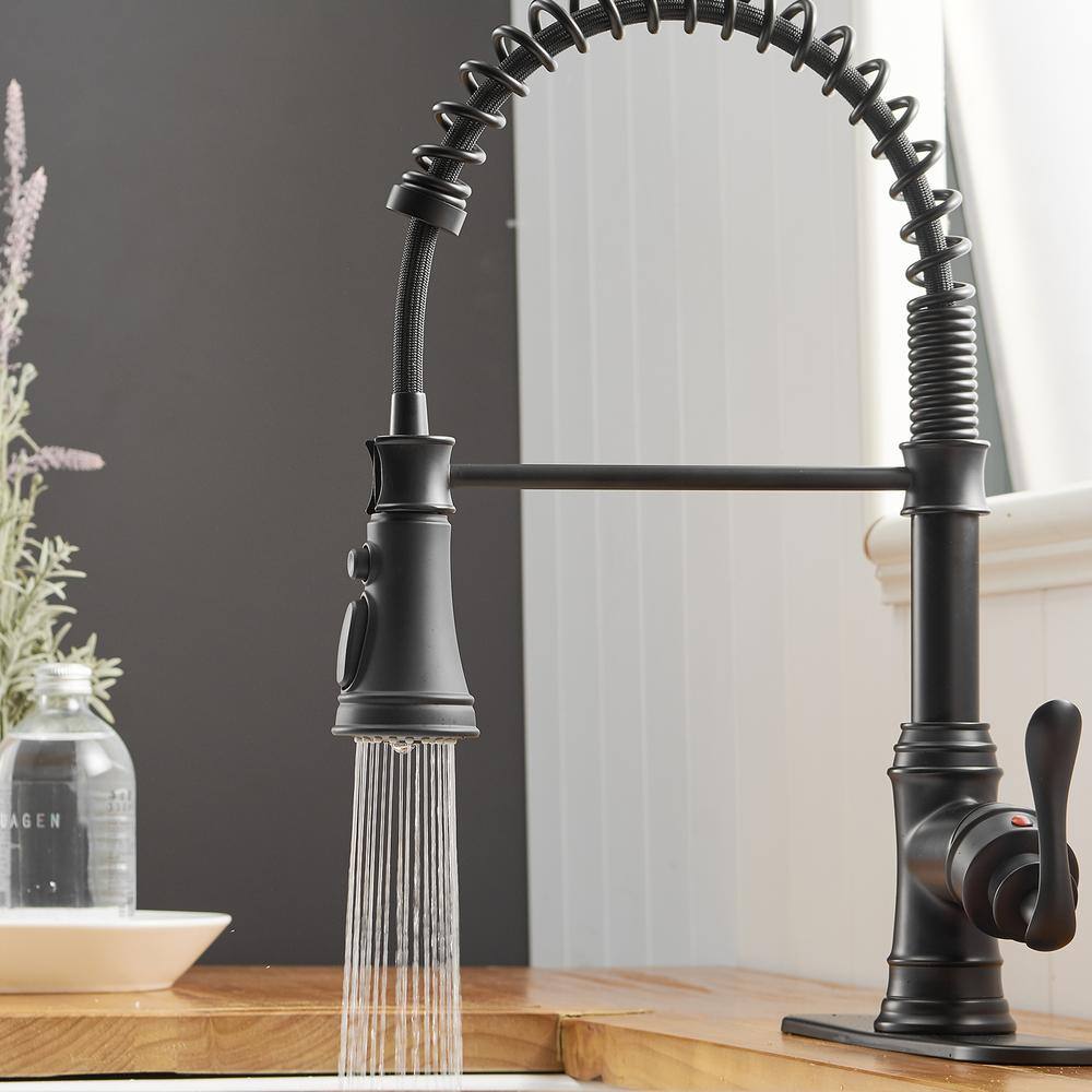 Matte Black Pull-Down Kitchen Faucet with Pull-out Spray