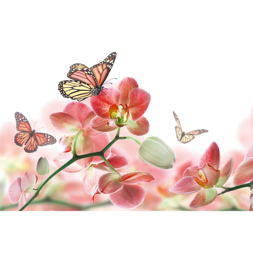 Sticker mural - Orchidenzweig and butterfly in rosé