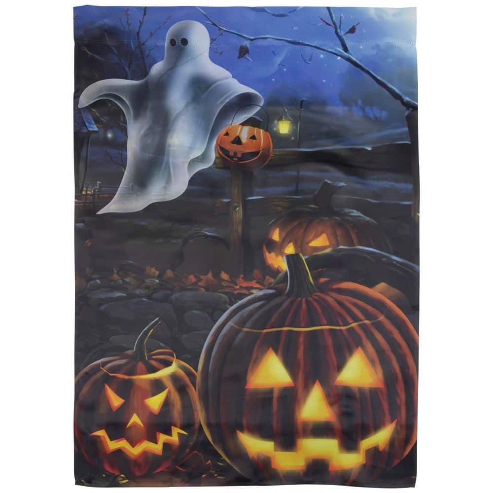 Pumpkins and Ghost Spooky Halloween Outdoor House Flag - 28 in. x 40 in. price history on PriceWatchPro