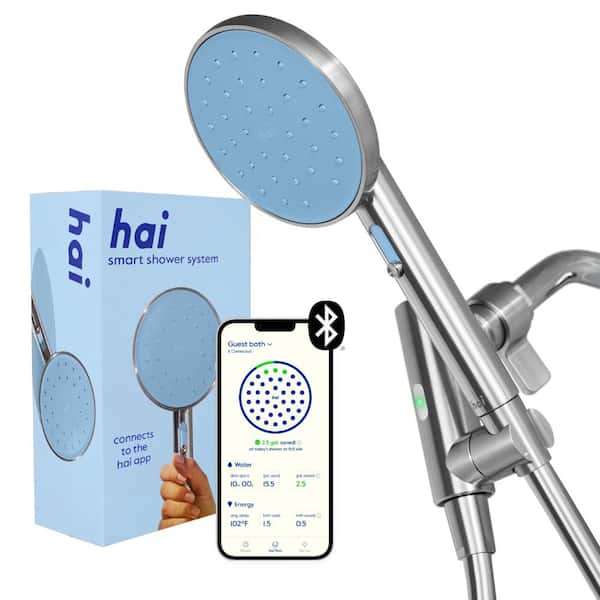 hai Smart 2-Spray Wall Mount Handheld Shower Head 2.5 GPM in Surf