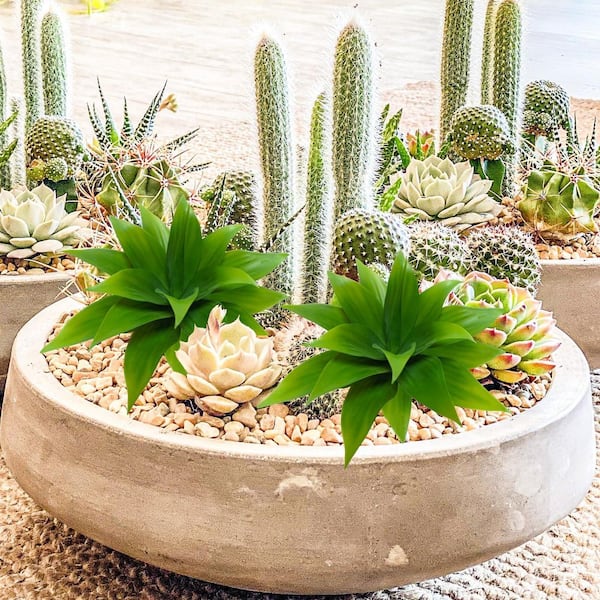 Afoxsos 14 in. Green Indoor Outdoor Artificial Aloe Succulent Plant  2-Pieces Real Touch Unpotted for Home Garden Decor 59A1124A1984 - The Home  Depot