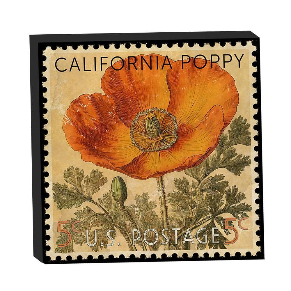 poppy✴︎ SH Figuarts Kamen Rider Poppy Tokimeki Crisis Gamer Level X