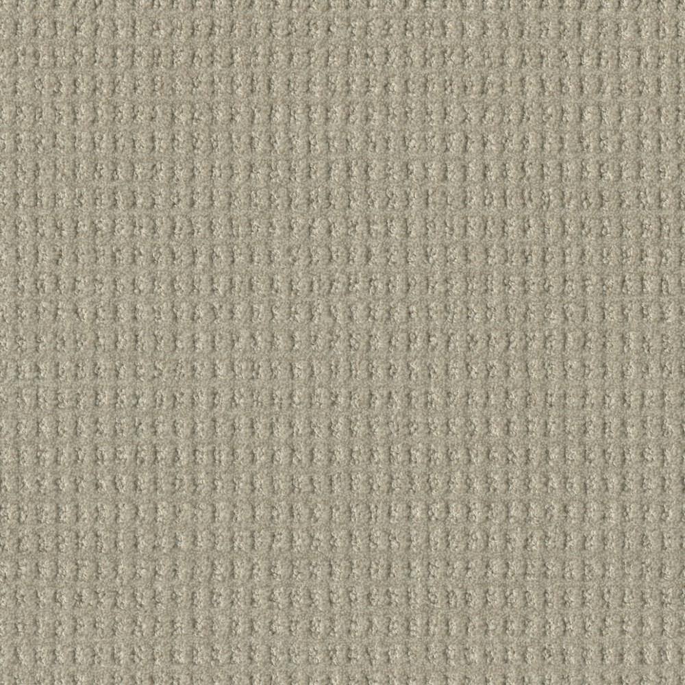 8 in. x 8 in. Pattern Carpet Sample - Amaryllis - Color Amalfi price history on PriceWatchPro