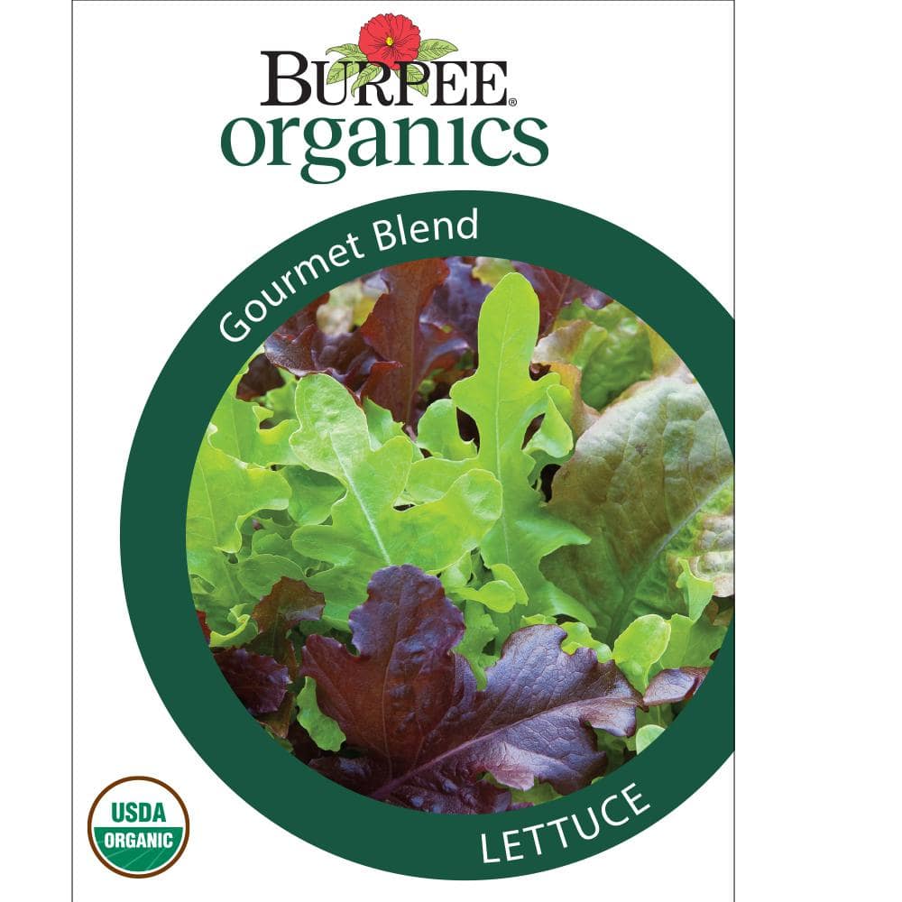 Burpee Simple Solutions Organic Space Saver Salad Garden Seed 60353 - The  Home Depot