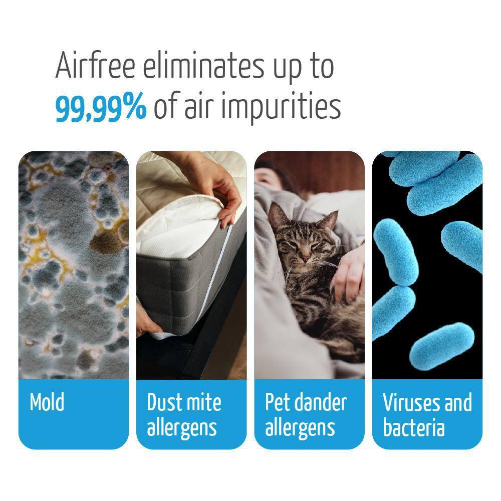 Airfree P3000 Plus Black Filterless Silent Air Purifier