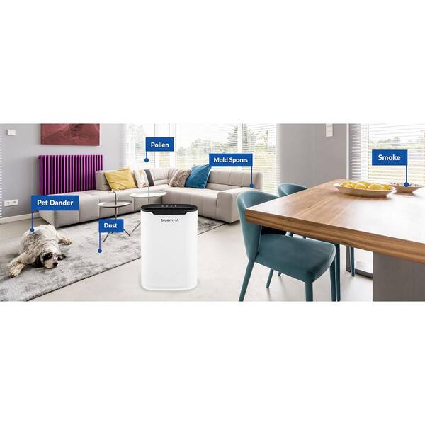 Air Purifier for Home, Office, up to 1180 sq. store ft. w/ HEPA and UV Filt