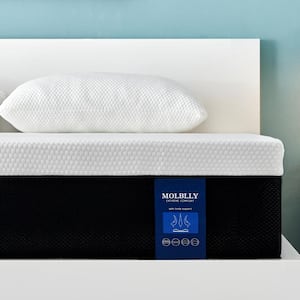 Queen Medium Memory Foam 10 in. Bed-in-a-Box Mattress