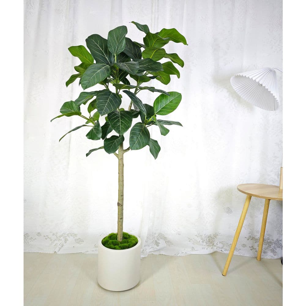 5 ft. Artificial Audrey Ficus Tree in White Decor Pot, Faux Green Plant Indoor Home Decorative Planter price history on PriceWatchPro