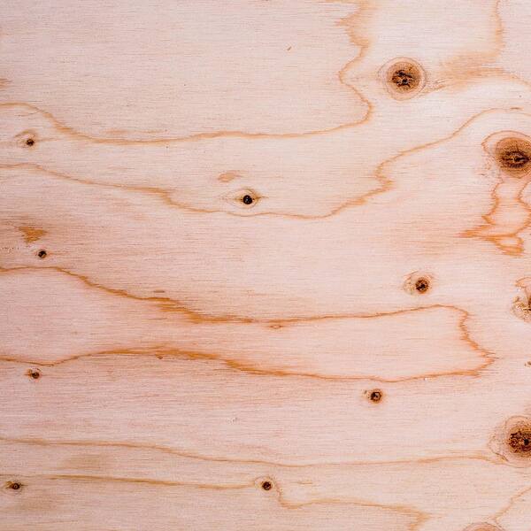 What Is Sande Plywood Brainy Breeze