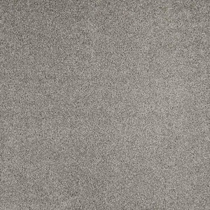 Phenomenal II  - Ashford - Gray 62.7 oz. Triexta Texture Installed Carpet