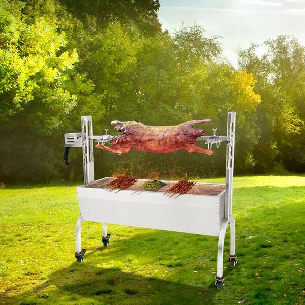 hog roast motor