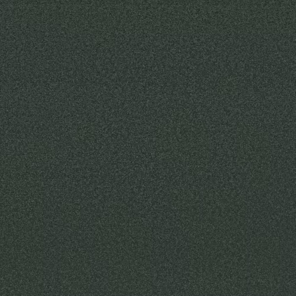 8 in. x 8 in. Texture Carpet Sample-Park Royal II-Color Summerhouse