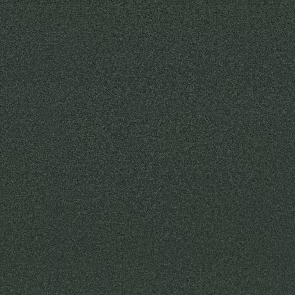 8 in. x 8 in. Texture Carpet Sample-Park Royal I-Color Summerhouse price history on PriceWatchPro