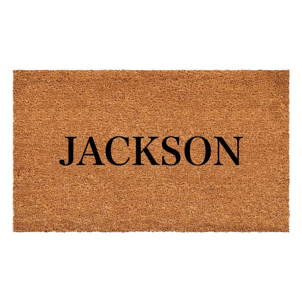 Bold Jackson Multi-Colored 24 in. x 48 in. Indoor or Outdoor Doormat price history on PriceWatchPro
