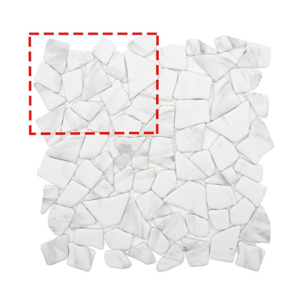 FLOORS 2000 Forest Rain 6-in x 6-in Porcelain Wood Look Tile Sample FLOORS 2000 Forest Rain 6-in x 6-in Porcelain Wood Look Tile Sample