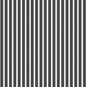 Smart Stripes 2 Small Stripe Wallpaper in Black and White