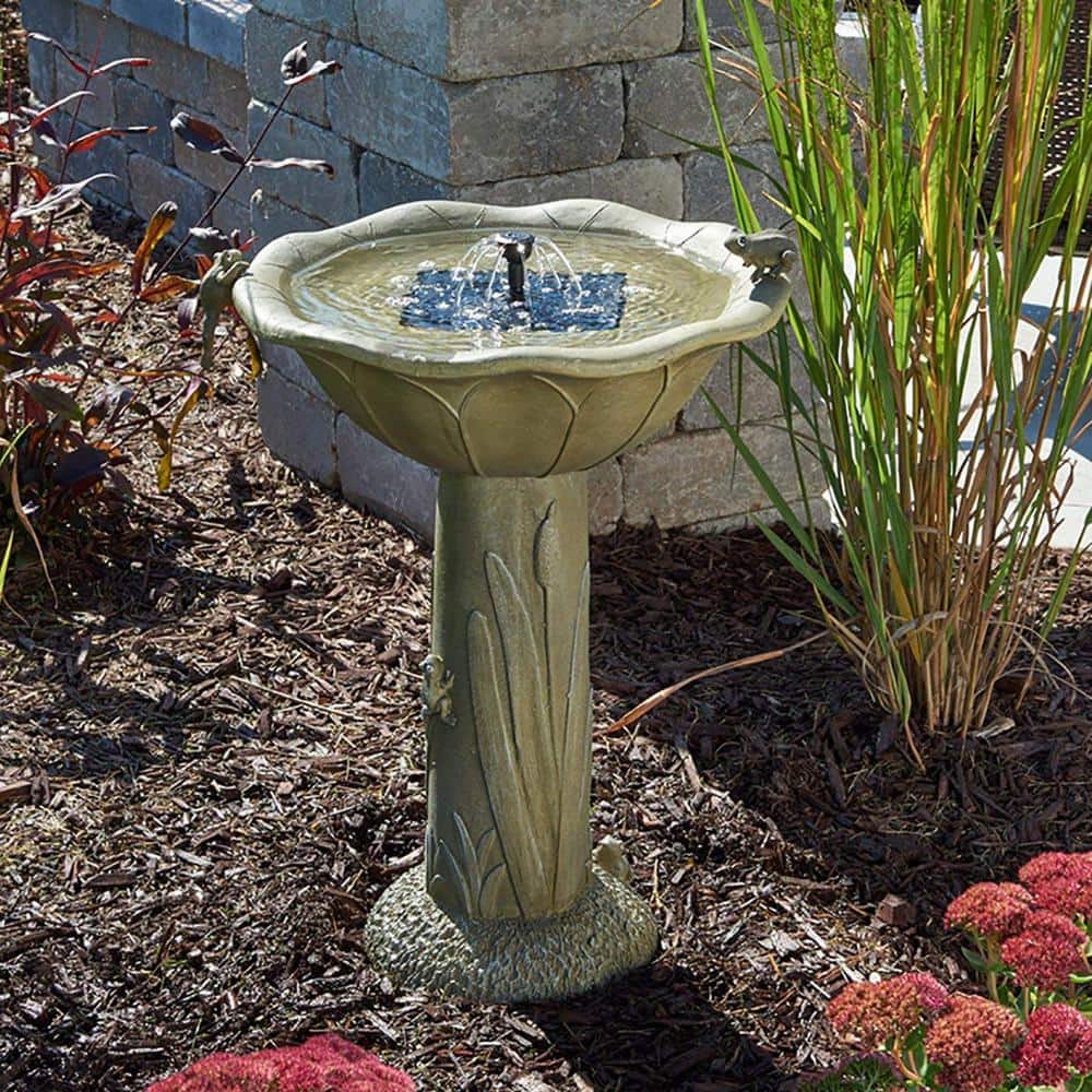 Olive Green Concrete Solar Birdbath with Frog Design