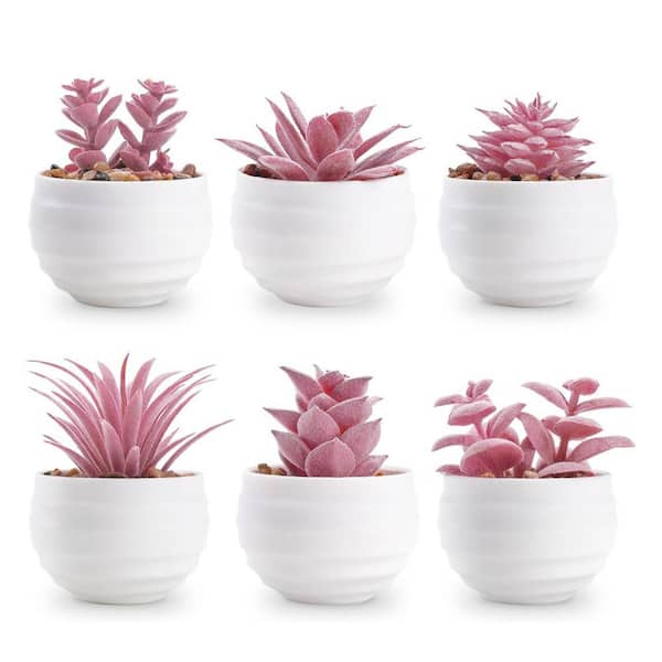 Artificial Succulent Plant in Pot, 6-Pack L0CY1S183J - The Home Depot