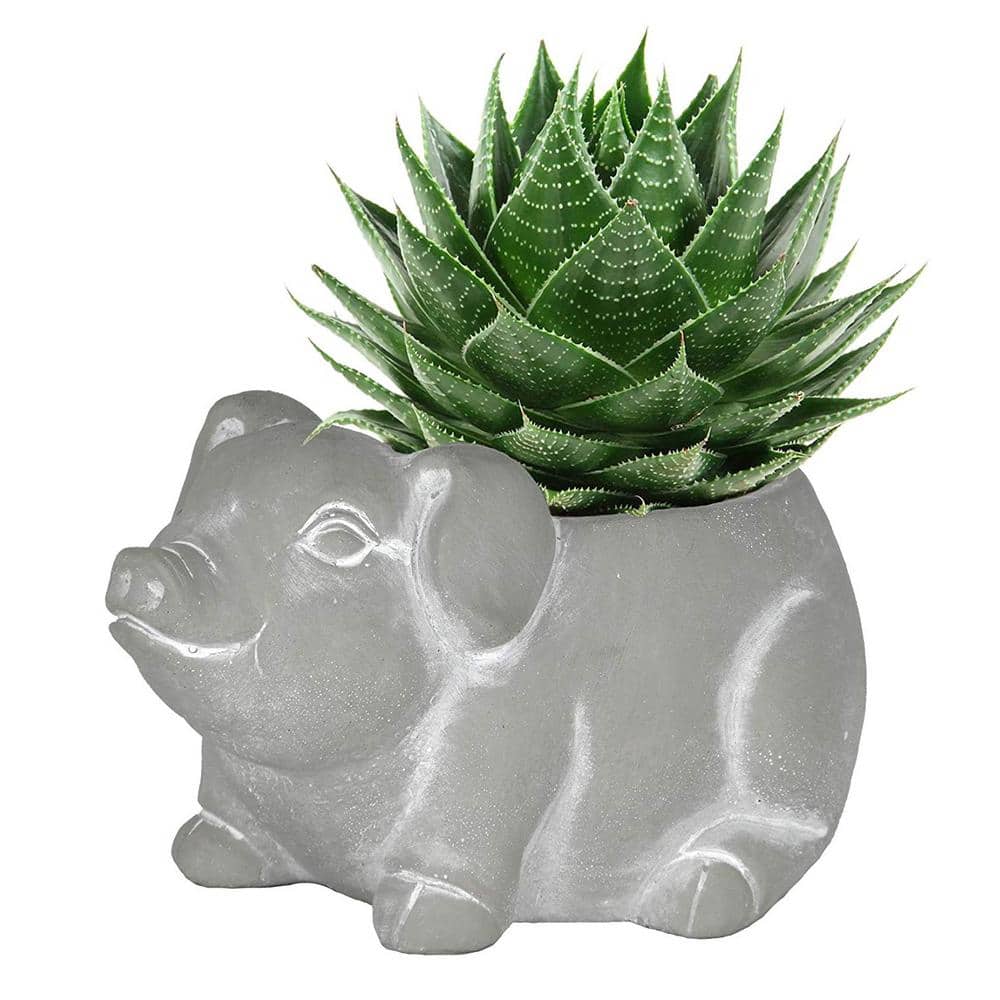 Small Gray Cement Piglet Indoor/Outdoor Planter with Drainage Hole