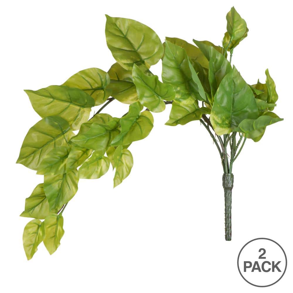 EverGreen 24" Lush Pothos Vine Arrangement - Outdoor Friendly, Pack of 2